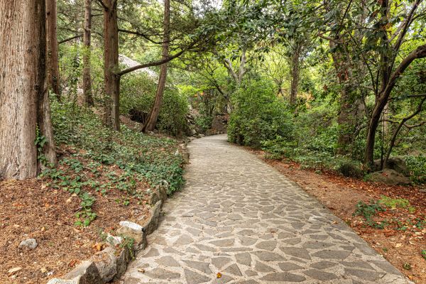 Stone Walkway Repair in Costa Mesa