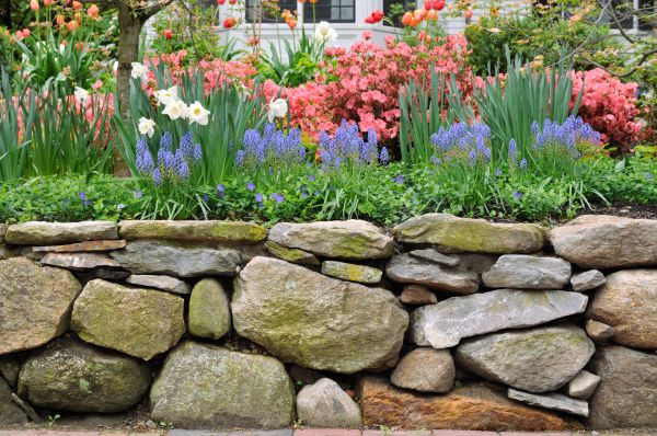 Garden Wall Installation in Costa Mesa